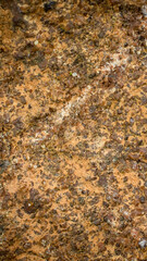red sandstone cliffs macro photo .textura or background