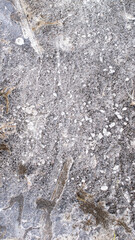 interesting ice patterns on the ground. background
