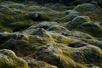 Lush green moss covers the undulating terrain, creating a textured landscape.