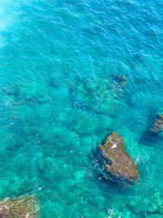 Sea turtle swimming underwater in crystal clear turquoise Mediterranean Sea waters near Antalya coast, Turkey. High quality photograph