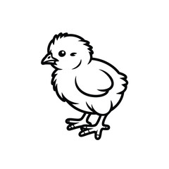 Simple outline drawing of a cute baby chick
