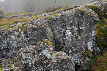 A lichen and moss covered rock formation on a hillside in a foggy weather.