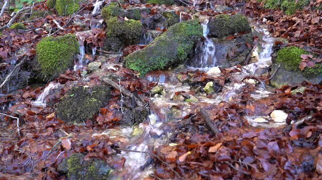 Cascata e ruscello in un bosco in pieno foliage
landscapes colourful tree colours background sun panorama countryside sea sky blue green beatiful mountain nature recover heaven wave summer bodensee pe