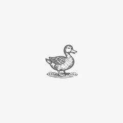 Fototapeta premium Duck Vector Logo Vector Illustration
