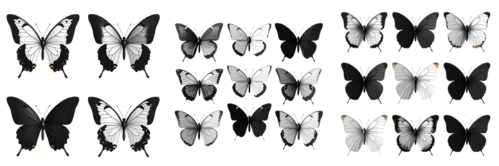 setof - Minimalist Vector-Style Butterfly Set – Elegant PNG