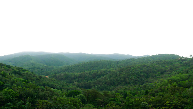 Lush green rolling hills covered in dense forest under a hazy sky, png isolated on a black background