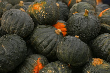 Many colorful pumpkins in the sunlight. Usual market with many pumpkins in the autumn. Halloween time