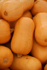 Many colorful pumpkins in the sunlight. Usual market with many pumpkins in the autumn. Halloween time