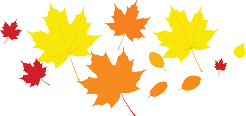 Obraz premium Vibrant autumn maple leaves in yellow, orange, and red hues gently cascade, forming a dynamic and picturesque seasonal display that beautifully embodies the spirit of fall