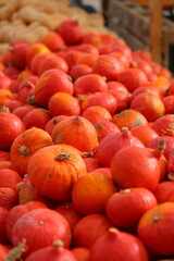 Many colorful pumpkins in the sunlight. Usual market with many pumpkins in the autumn. Halloween time