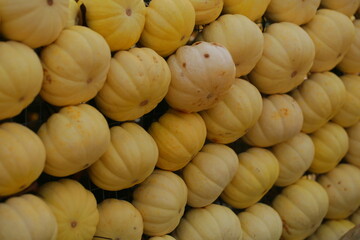 Many colorful pumpkins in the sunlight. Usual market with many pumpkins in the autumn. Halloween time