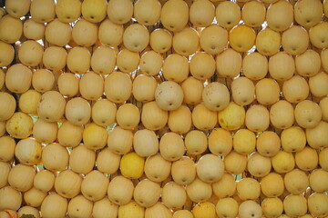 A lot of pumpkins close up. Autumn harvest colorful squashes and pumpkins in different varieties.