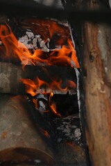 A lot of pumpkins close up. Autumn harvest colorful squashes and pumpkins in different varieties.