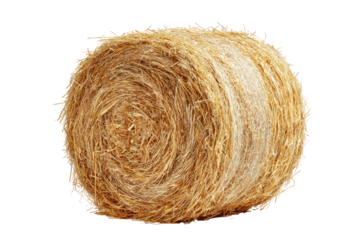 Round bale of hay