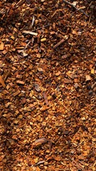 cascalho restos de madeira