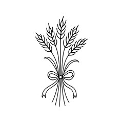 Fototapeta premium Elegant line art illustration of a wheat sheaf tied with a ribbon