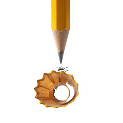 Pencil shaving isolated on transparent background