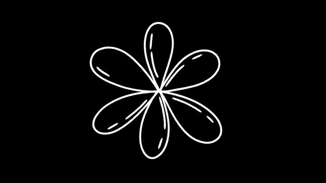 flower hand draw doodle, frame by frame stop motion animation on a white and black background, video decoration, perfect for motion graphics, comics, or energetic.