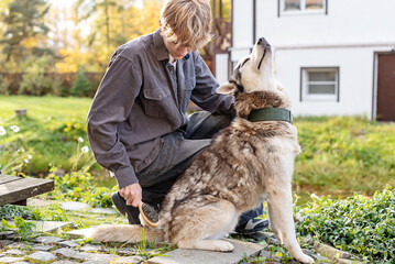 Young caucasian male brushing husky dog in backyard on a sunny day. Mindful childhood, emotional intelligence, responsibility through caring for pets, gentle interaction between child and animal © Rodica