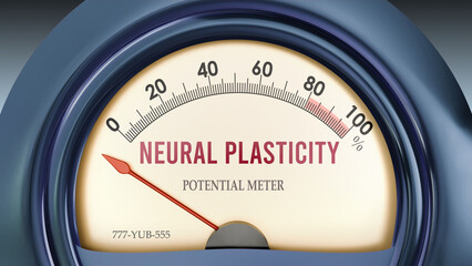 Neural Plasticity and Potential Meter that hits less than zero, showing an extremely low level of neural plasticity, none of it, insufficient. Minimum value, below the norm. ,3d illustration