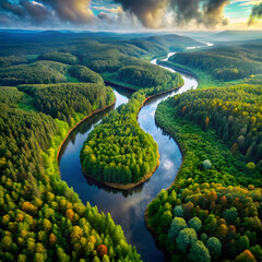 aerial view of green fields