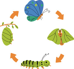 caterpillar on a branch