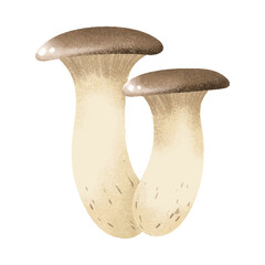 Oyster mushroom illustration for organic food logo, food label, packaging, restaurant menu, patterns, art prints, book illustration or botanical and kitchen design.