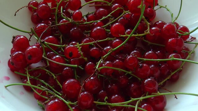 A Plate with berries red currant is on the table. Close-up.