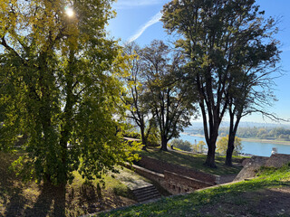Fototapeta premium Autumn trees overlooking the river under clear blue sky. Harmony, nature, and quiet connection to landscape in early morning sunlight.
