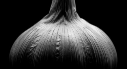 Dramatic Black And White Portrait Highlighting Texturized Surface Of A Garlic Bulb