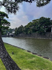 the river in the park, tokyo, japan