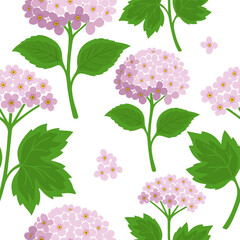 Seamless hydrangea background. Hand drawn. Not AI, vector illustration.
