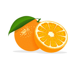 Fresh Whole and Sliced Orange with Green Leaf Illustration