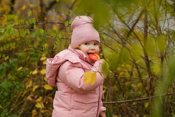 Young Child Enjoying a Lollipop While Exploring a Colorful Autumn Forest