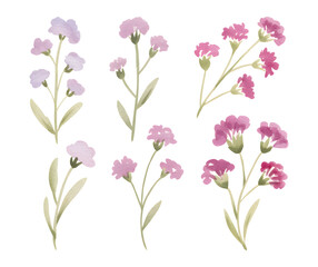 Minimal watercolor floral sprigs with romantic spring blossoms. watercolor wildflower pastel pink and violet tones.