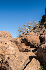 Eindr&uuml;cke im Damaraland