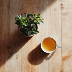 Plant and tea cup on wood surface
