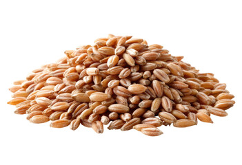 Pile of durum wheat grains