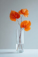 Orange leaves in glass vase