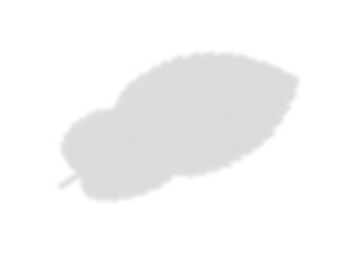 Oak Leaf Shadow Overlay