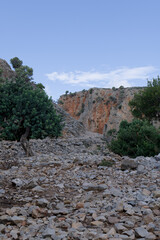 Rocky Mountain Landscape with Trees in Crete