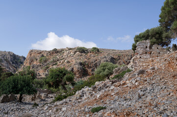 Rocky Mountain Landscape with Trees in Crete