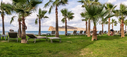 Palm Trees and Sunbeds Overlooking the Sea in Chania Crete