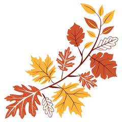 Autumn leaves in warm fall colors of orange yellow and red arranged on branches against a white background