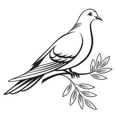 A serene dove perches gracefully on an olive branch, symbolizing peace and tranquility, its sleek form and detailed feathers create a calming image