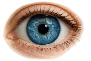 Human blue eye with detailed iris and pupil, observing vision, sight, and clear perception on transparent background