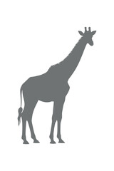 Giraffe Silhouette Standing Tall Animal Vector Illustration