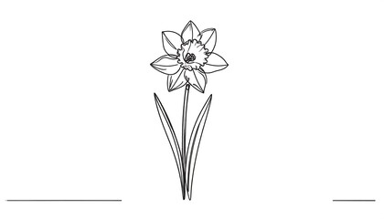 Beautiful Spring Daffodil Illustration.