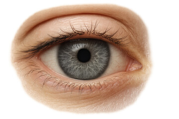Fototapeta premium Human blue eye close-up showing iris, pupil, and eyelashes, a visual representation of sight and vision on transparent background
