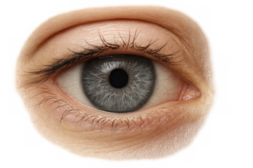 Human blue eye close-up showing iris, pupil, and eyelashes, a visual representation of sight and vision on transparent background